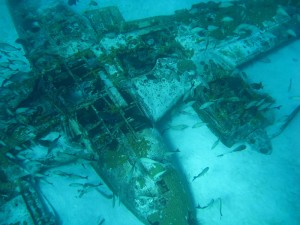 IMG_2285_lg Walter Wyatt's plane twenty five years after sinking