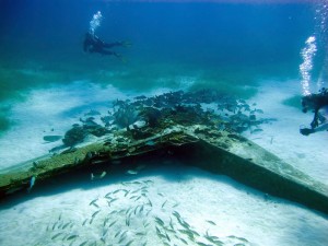 seaplane_divers_lg Khaled bin Sultan Living Oceans Foundation divers approach Walter Wyatt's sunken plane