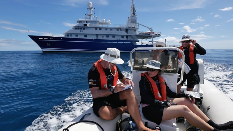 tender-and-golden-shadow