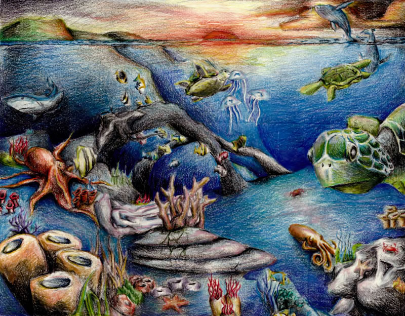 Shaw-Zong Hsueh, Age 15,Houtson, TX; Underwater Harmony Shaw-Zong Hsueh, Age 15,Houtson, TX; Underwater Harmony