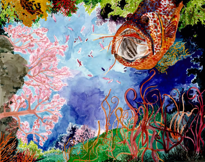 Amy Son, Age 12, Cherry Hill, NJ; Wonders of the Creatures Below Amy Son, Age 12, Cherry Hill, NJ; Wonders of the Creatures Below