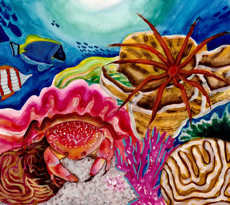 Catherine Zheng, Age 12, Parsippany, NJ; Coral Reef Companions Catherine Zheng, Age 12, Parsippany, NJ; Coral Reef Companions