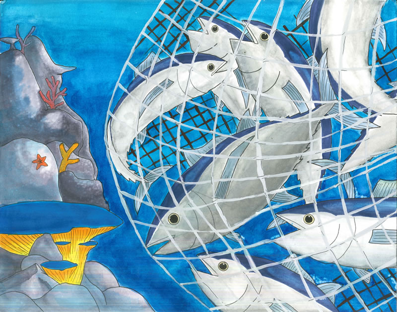 "Trapped Tuna" by Cristen Jian Gadicho, Age 13, Hawaii, USA "Trapped Tuna" by Cristen Jian Gadicho, Age 13, Hawaii, USA