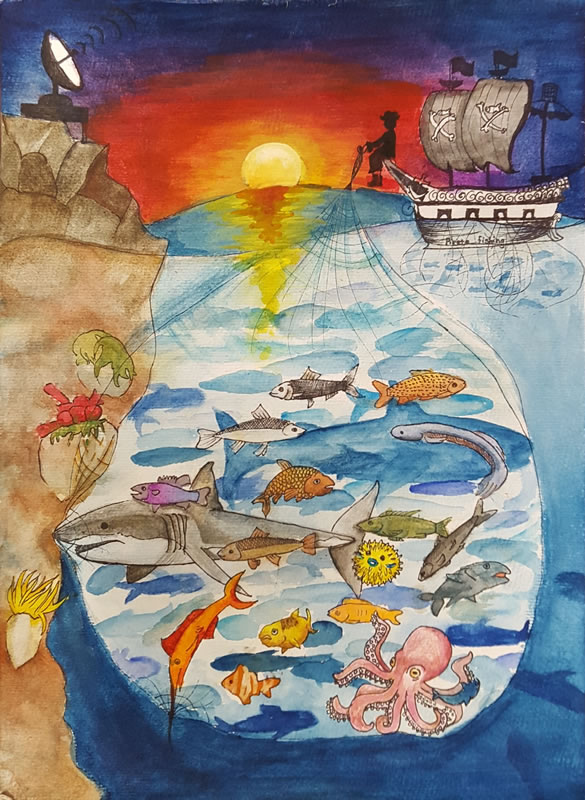 "Pirate Fishing Under the Radar" by Jiaying Zhug, Age 11, Ontario, Canada