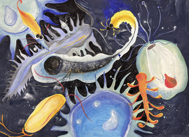 "Zooplankton Live Like Stars" by Phạm Ngân Khánh, Age 13, Vietnam
