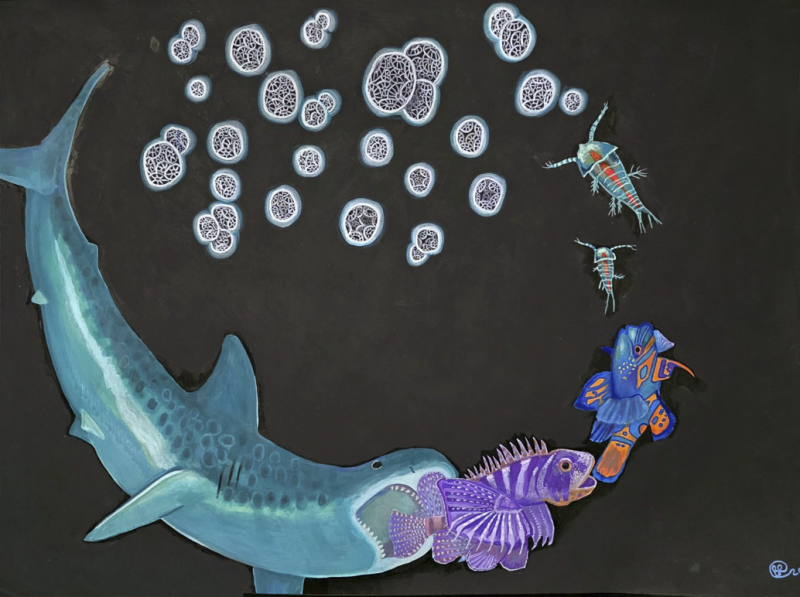 "Hidden Origins" by Breanna Ramaglia, Age 14, United States of America