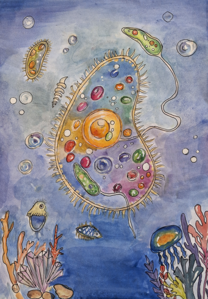"My Microscopic Underwater World" by Yasmina Begmatova, Age 14, Tajikistan