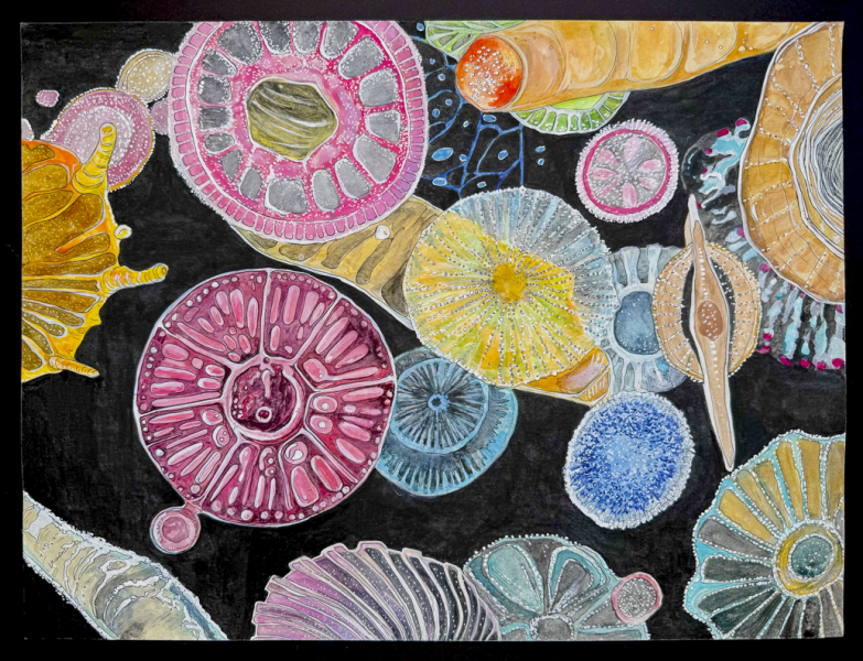 "Under the Microscope" by Hahrin Chiang, Age 12, United States of America