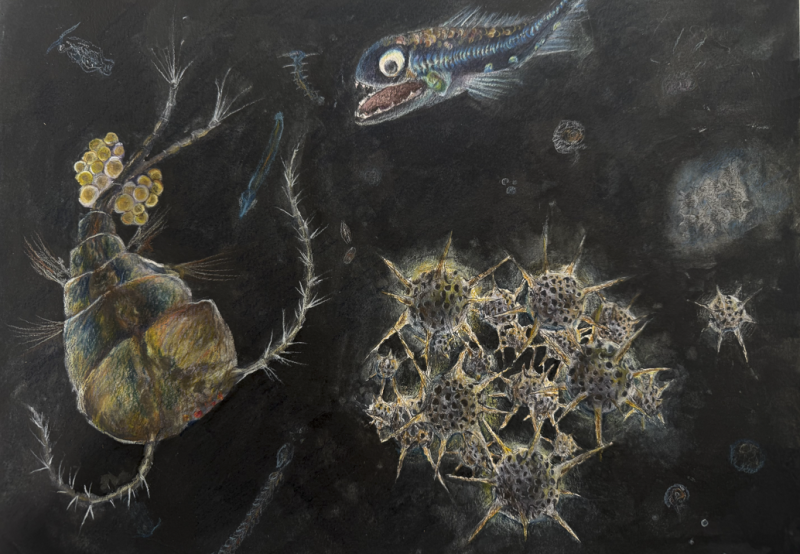 "Glass Jewels of the Deep" by Summer Xu, Age 11, United States of America