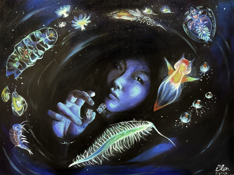 "Still, I reach" by Elan Yang, Age 14, United States of America