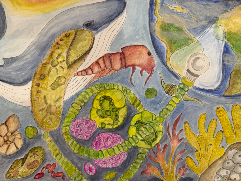 "A Great Journey" by Rahee Lim, Age 12, Kuwait