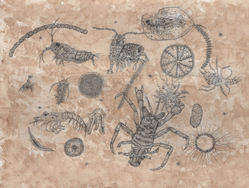 "The Drifting City" by Lydia Ireland, Age 14, United States of America