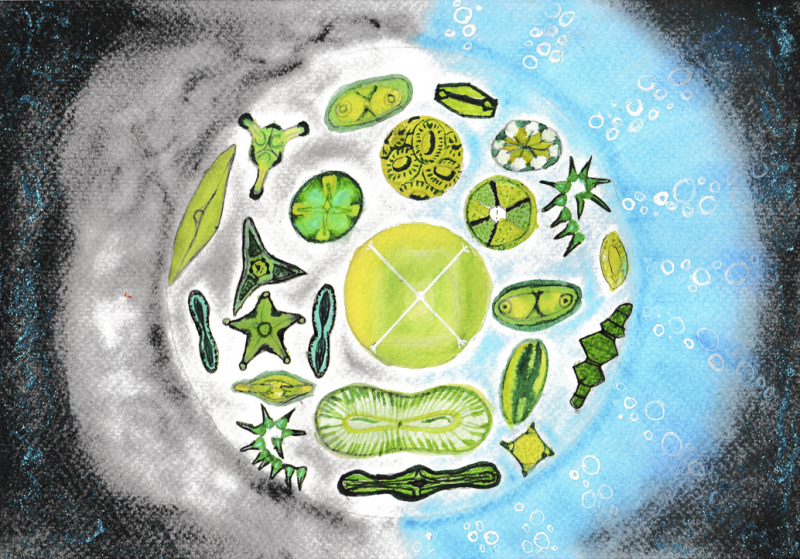 "Unseen Savior of Earth" by Ujaan Mitra Tripathi, Age 13, United States of America