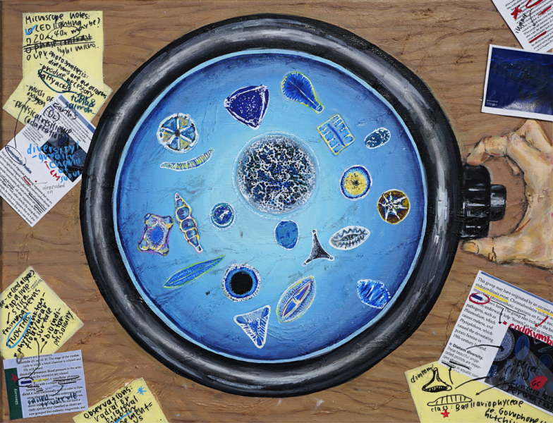 "Diatom Diversity" by Joohah Kim, Age 16, Republic of Korea
