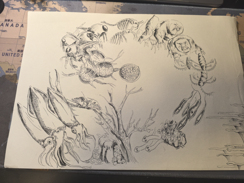 "The Start of Lives" by Hanyu Yao, Age 16, Singapore