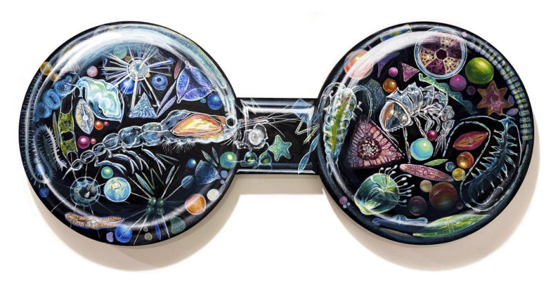 "Ocean’s Hidden Jewel Box" by Jiye Lee, Age 17, United States of America