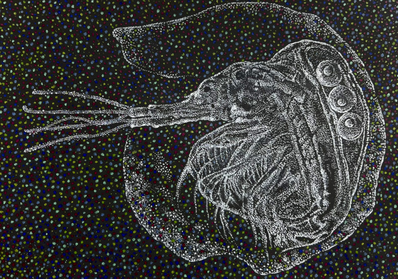"Pulse of the Micro-Tide" by Suhjin Chey, Age 17, Republic of Korea
