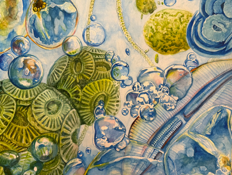 "The Microscopic Oxygen Factories" by Helen Miao, Age 16, United States of America