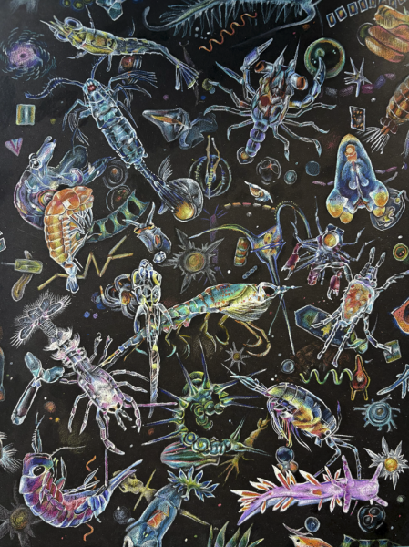 "Microscopic Marine Life in the Dark" by Emma Li, Age 15, United States of America