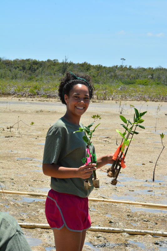 Forest Heights Academy student collects her and her friends mangroves and she is ready to plant them.