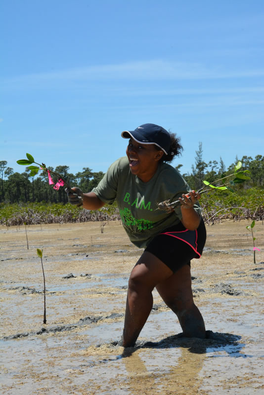 Even after sinking in the mud, this Forest Heights Academy student is excited to plant her mangroves.