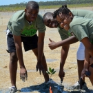 Abaco Central High School Biology students plant mangrove seedlings restoring an area near Camp Abaco.