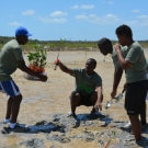 Abaco Central High School students prepare to plant their first mangrove seedling.