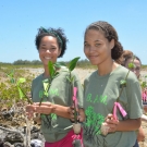 Marine Science students at Forest Heights Academy say goodbye to their mangrove propagules that they have been caring for the past 7 months.