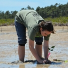 Forest Heights Academy student tries to secure the squishy mud around her propagule to stabilize it.