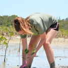 Forest Heights Academy student readjusts the position of her mangrove seedling in the mud, so that the lenticels that allow for gas exchange are exposed to the air.