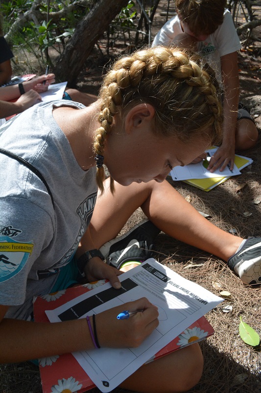 BAM participant from Forest Heights Academy draws a red mangrove leaf in her student journal.