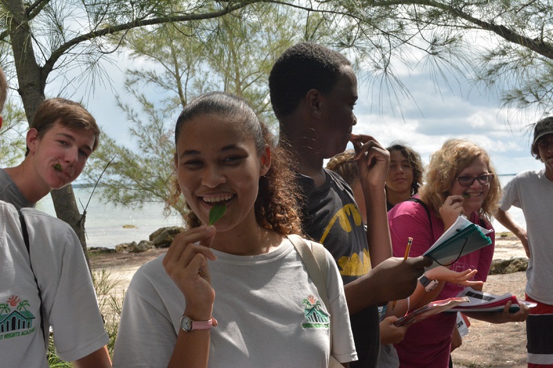 Students from Forest Heights Academy taste a black mangrove leaf. Even though it has been raining a lot, the students find out that the leaves are still very salty!