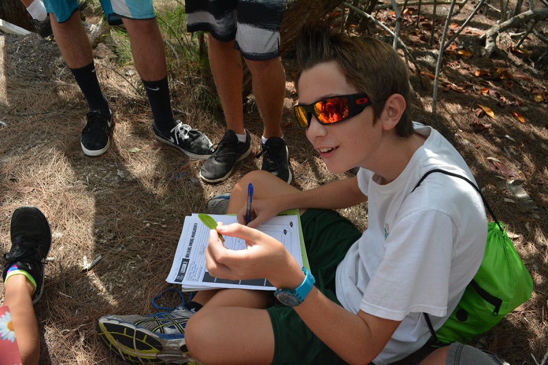 Forest Heights Academy student draws a black mangrove leaf and labels the salt and fine hairs on the leaf.