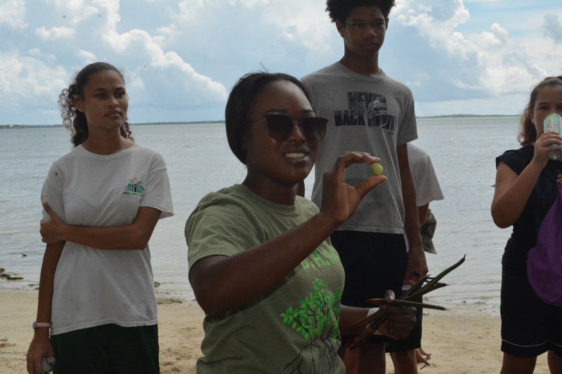 FRIENDS of the Environment's Education Officer, Cassandra Abraham, shows students the seeds from different mangrove species and asks them to identify each one.