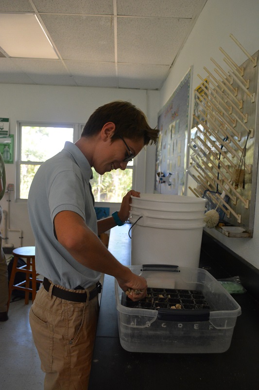 Biology student at Forest Heights Academy fills one of the plant flats with pebbles. Students will grow one of their three propagules in this media type.