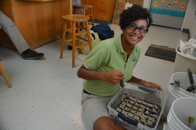 It looks like this Forest Heights Academy student is finished adding sand to this plant flat. We are now ready to plant the seedings.