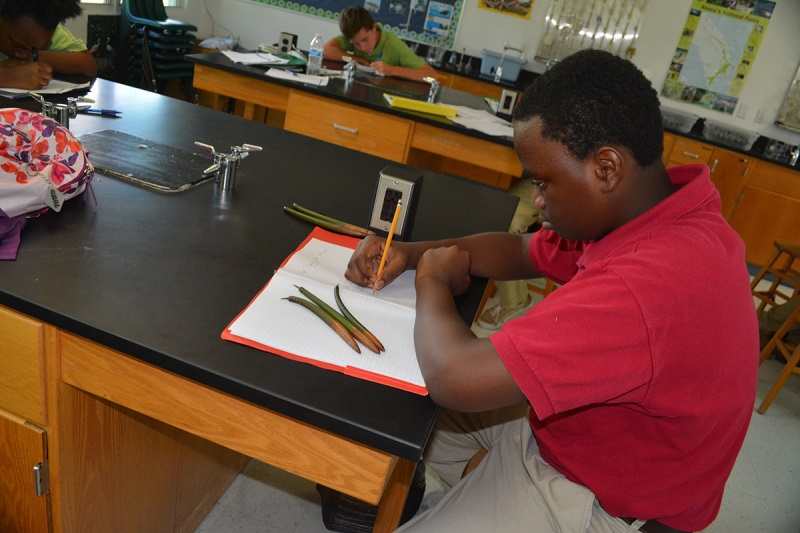 Forest Heights Academy B.A.M. participant writes down observations about his seedlings.