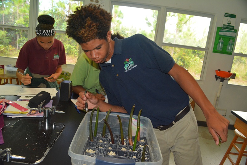 B.A.M. participant determines which grid he put his mangrove propagule in so he can correctly identify it the next time he needs to measure it.