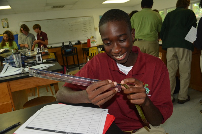 This student takes the first measurement of his mangrove seedling. He will record this data in his mangrove journal.