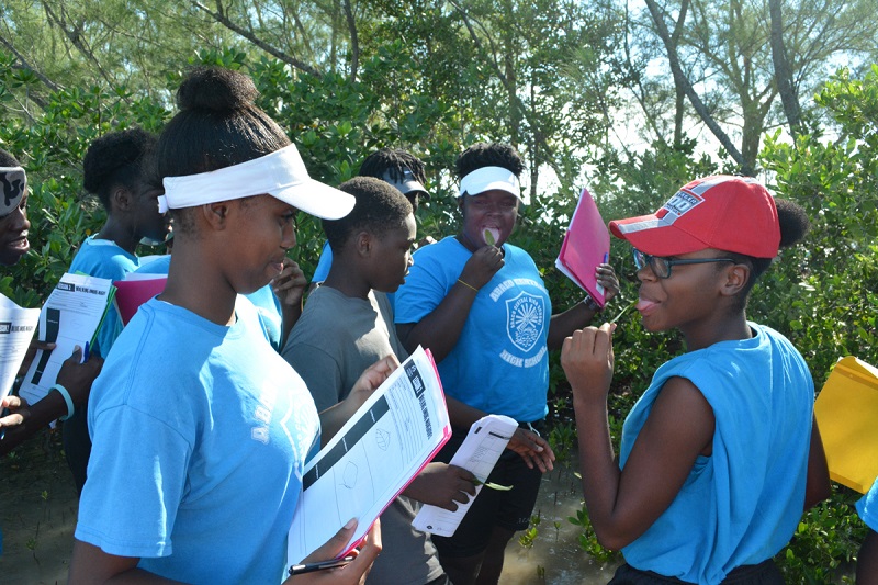 Students from Abaco Central High School hesitantly taste the black mangrove leaf only to find out that they are very salty.