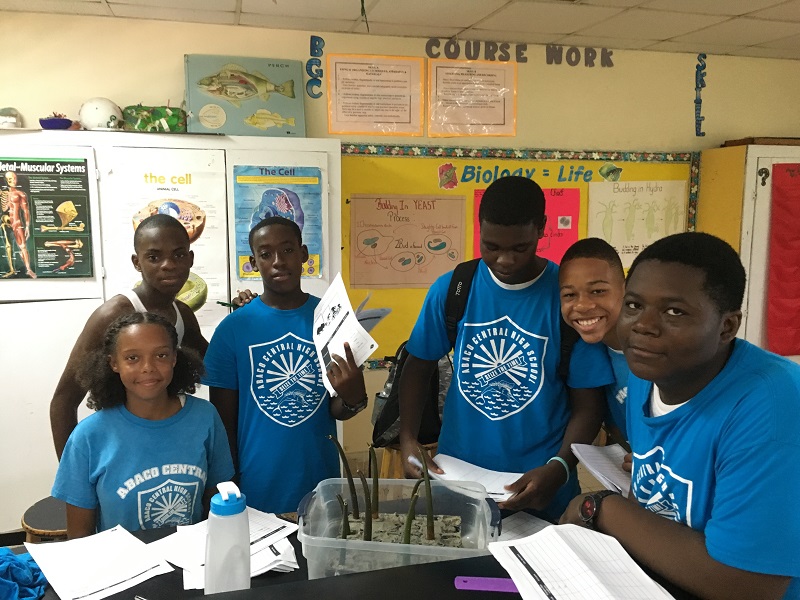 Biology students at Abaco Central High School are proud to plant their seedlings in mangrove mud.