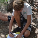 10th grade Biology student traces the red mangrove leaf and labels it with the distinguishing structures.