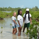 Safety in Numbers - You never know when you might get stuck in the mud, so it's best to bring a friend to help you out.