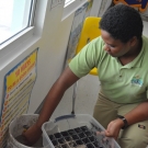 Dirty Jobs - Forest Heights Academy student starts loading the stinky mangrove mud in the plant flat.