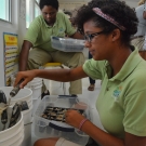 The third type of media, sand, is being placed in a plant flat by a Forest Heights Biology student.