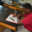 Forest Heights Academy B.A.M. participant writes down observations about his seedlings.