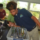 B.A.M. participant determines which grid he put his mangrove propagule in so he can correctly identify it the next time he needs to measure it.