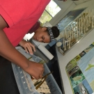 Students at Forest Heights Academy place their mangrove propagules in the sand flat.