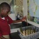 Biology student at Forest Heights Academy has measured his propagule and he is now going to plant it in the flat filled with sand.