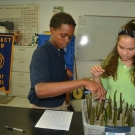 Students plant their mangrove seedlings in mud.